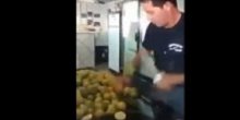 Način na koji ovaj momak sjecka limun ostaviće vas bez teksta (VIDEO)