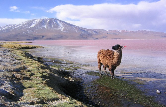 Bolivija: Pronađeno na stotine ljudskih skeleta
