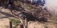 Pokušao da preskoči krokodila (VIDEO)