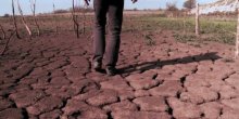 Katastrofalne posljedice klimatskih promjena: Kako će svijet izgledati 2050?