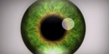 Ova optička varka može izazvati halucinacije! (VIDEO)
