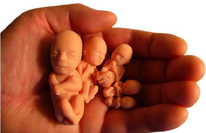 Abortus na zahjtev ponovo dostupan