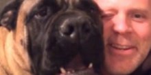 Ovaj pas će sve uraditi samo da ućutka svog gazdu da ne pjeva više ( Video )