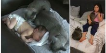 Ljubav za cio život ( VIDEO)