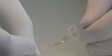 Paralizovani pacovi prohodali zahvaljujući implantu