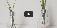 Zašto bacati sijalicu kad od nje možete napraviti  vazu! (VIDEO)