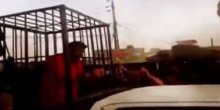 Džihadisti u kavezima voze Pešmerge kroz Kirkuk 
