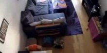 Postavila je kamere u kući kako bi snimala mačke, a onda je uslijedio šok (VIDEO)