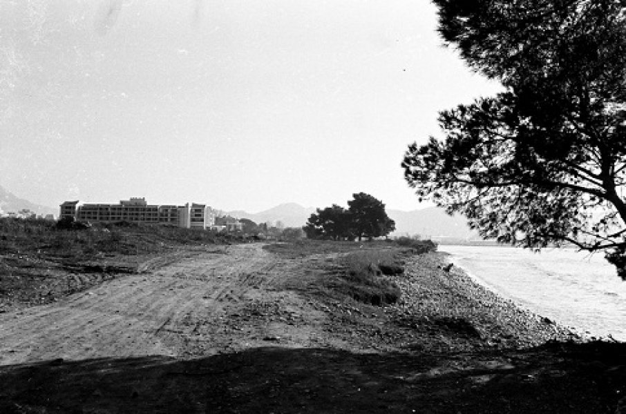 1MADARICA1983