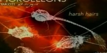  JEZIVA BOLEST PRIJETI REGIONU? Oboljelima iz rana gmižu vlaknasta bića i izlaze iz usta i nosa (VIDEO)
