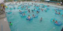 Možete li spaziti davljenika na ovoj fotografiji? (VIDEO)