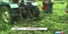  Sa pištoljem za pojasom traktorom pregazila hrišćanku  (Video)