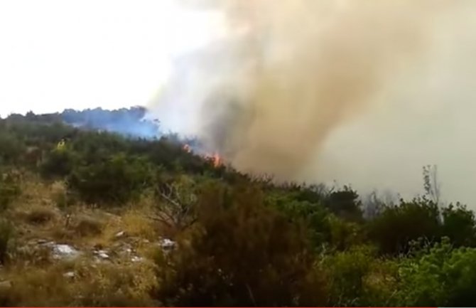 Kiša ugasila veliki požar kod Bijele