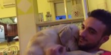 Izvinjenje ovog psa osvaja internet(VIDEO)