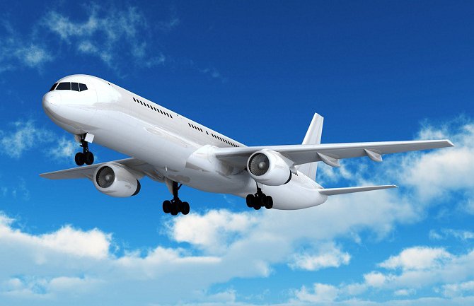 Incident u avionu: Ugrizao putnika pa umro