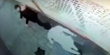  Kamera snimila obračun:  Nožem izboden tinejdžer zbog uvreda! (Video)