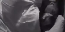 Ervin i Stefani ponovo u akciji: Kamere im ne smetaju uopšte (VIDEO)