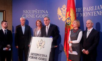 Na zahtjev liberala, sjednica skupštinskog Odbora za sport na bazenu u Kotoru