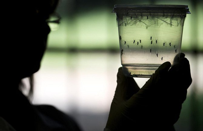 Prvi put zika virus otkriven u pljuvačci i urinu, tri osobe preminule u Kolumbiji