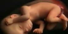 Evo šta se dešava u stomaku tokom 9 mjeseci trudnoće (VIDEO)