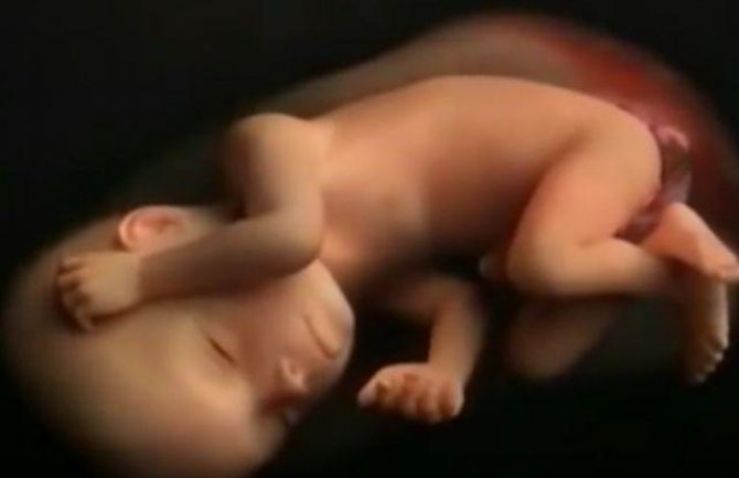 Evo šta se dešava u stomaku tokom 9 mjeseci trudnoće (VIDEO)