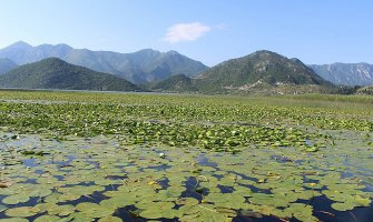 U četvrtak otvaranje Info centra u NP Skadarsko jezero