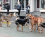 Na primorju psi slobodno šetaju, nadležni rijetko reaguju