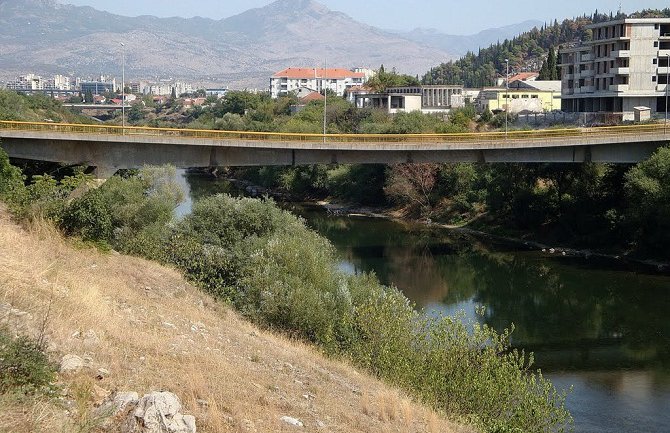 Pijan šenlučio na livadi u blizini Krivog mosta
