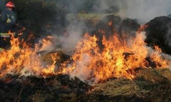 Sezonu požara dočekuju spremni: Na raspolaganju četiri aviona, 180 vozila i 500 vatrogasaca