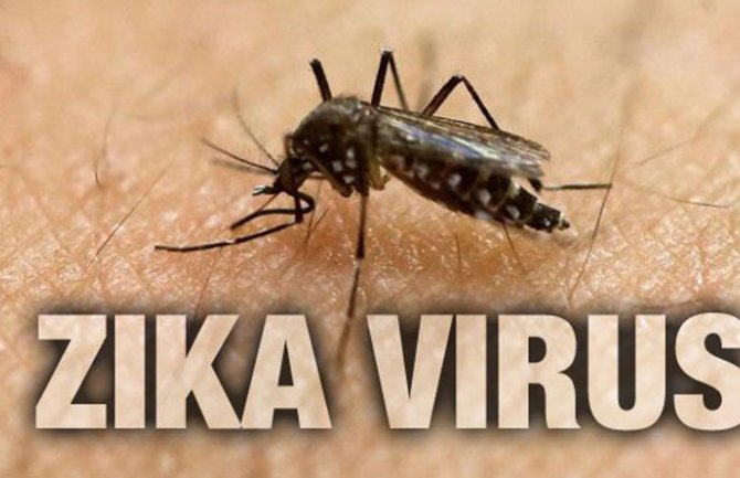 U Crnoj Gori nije registrovan nijedan slučaj obolijevanja od Zika virusa
