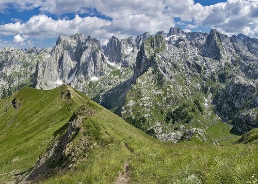 DaliborPetricphoto1