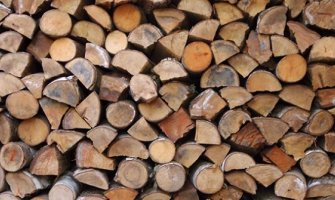 Klimenta: 700 penzionera iz Rožaja se smrzava jer ne mogu da kupe drva