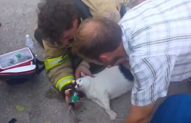 Vatrogasci oživljavali mačku pola sata nakon požara (Video)