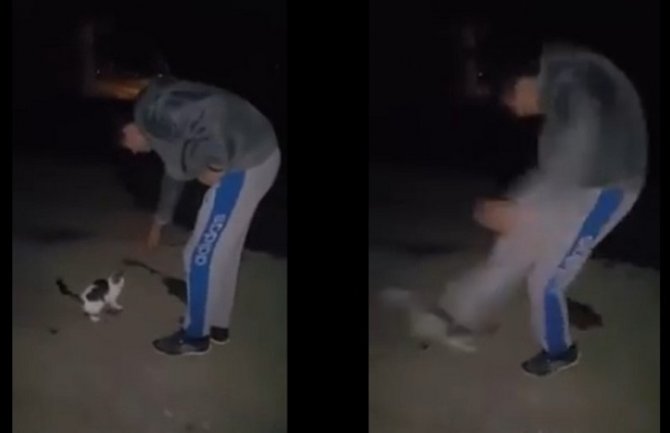 Udruženje za zaštitu životinja podnijelo krivičnu prijavu protiv mladiću zbog zlostavljanja mačke