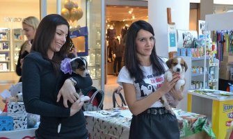 U Delti u toku sajam Pet&Vet, veliko interesovanje za udomljavanje štenaca i ponudu izlagača (Foto)