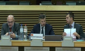 Nastavlja se dobar napredak Crne Gore u pristupanju EU