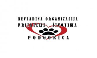 NVO 