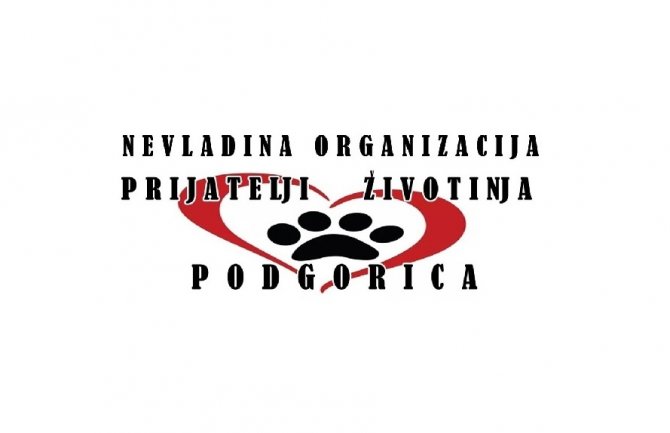 NVO 