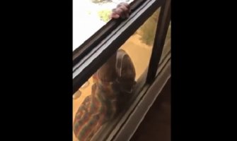 Žena snimala sluškinju kako pada sa sedmog sprata (VIDEO)