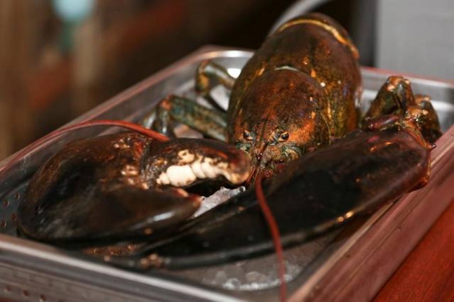 LobsterRescue1