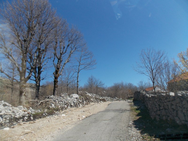 KUI1