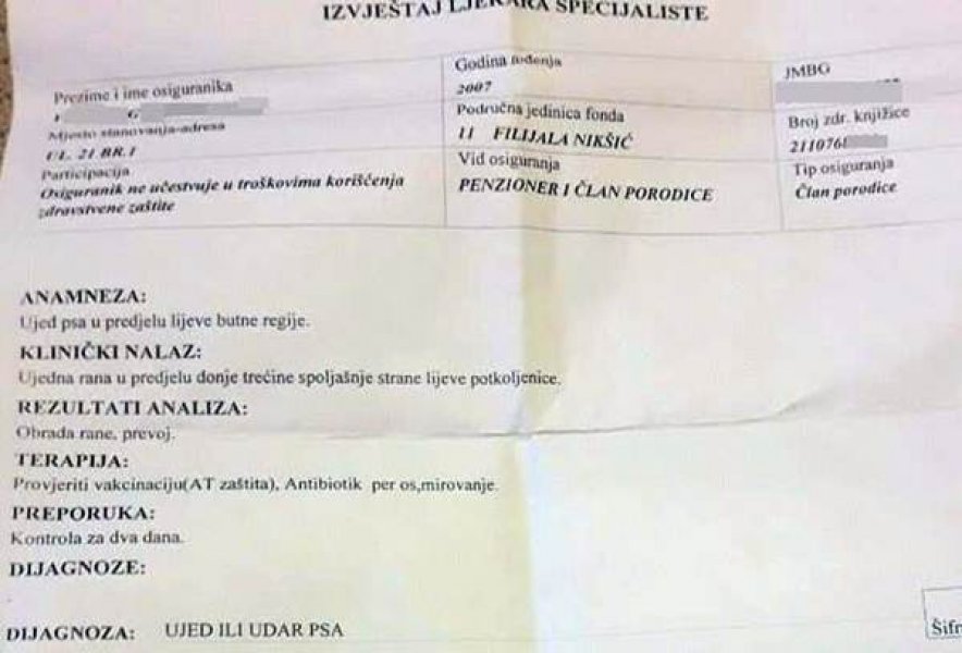 izvjestaj1