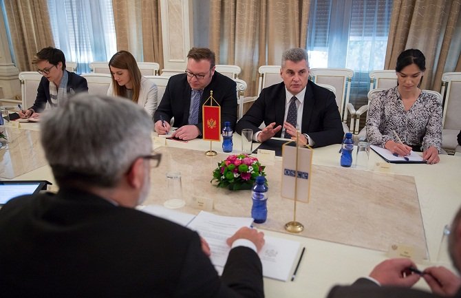 Brajović: Izvještaj posmatračke misjie realan, objektivan i pozitivan