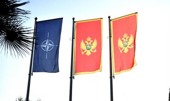 Kentera na čelu Atlanskog saveza, Pejanović-Đurišić član UO, Krivokapić potpredsjednik