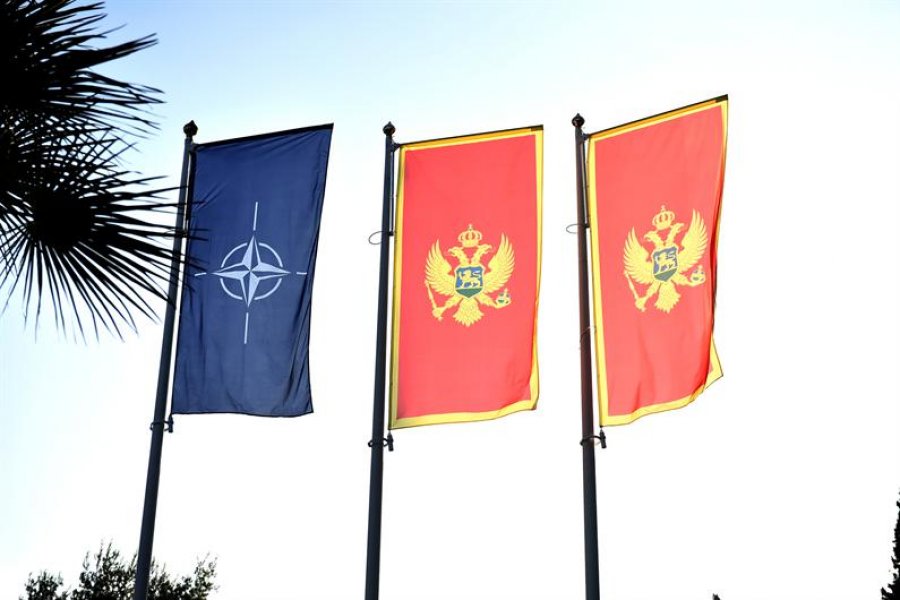 cgnato