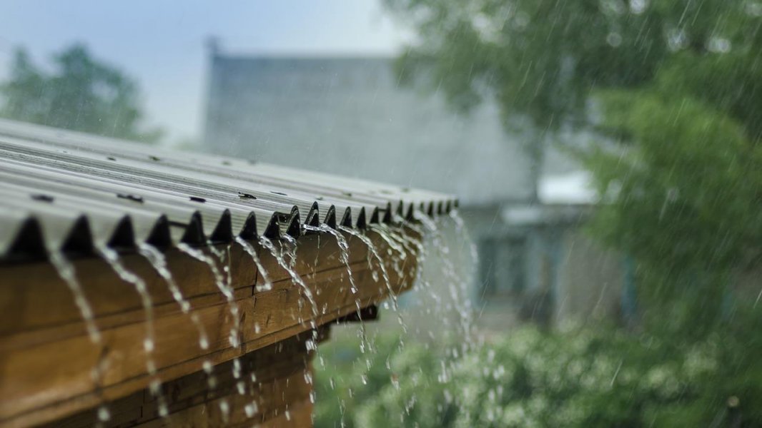129892shutterstock433625311crop