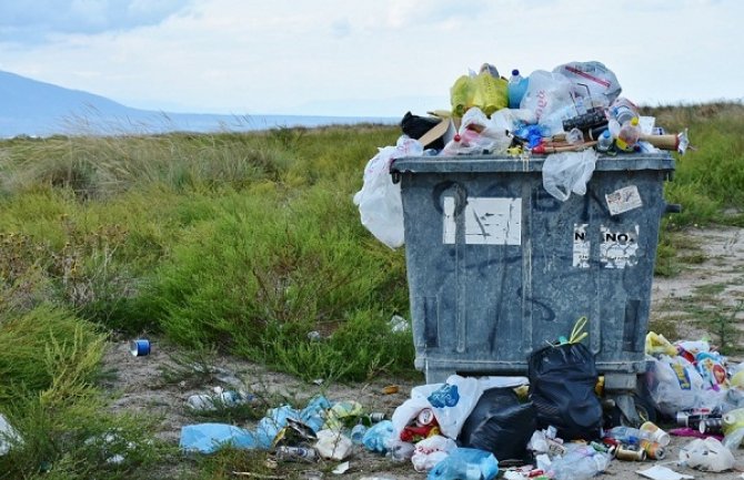 Svake godine u prirodi završi 50 miliona kesa