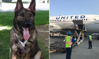 Njemački ovčar greškom završio u Japanu, privatnim avionom vraćen za Kansaz (VIDE)