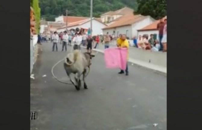 Nevjerovatno ali istinito: Izazivao bika s djetetom u ruci (Video)