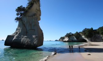 Novi Zeland: Braća pronašla džinovsku lignju na plaži (FOTO)